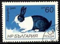 (1986-015) Марка Болгария "Голландский кролик"   Зайцы и кролики II Θ